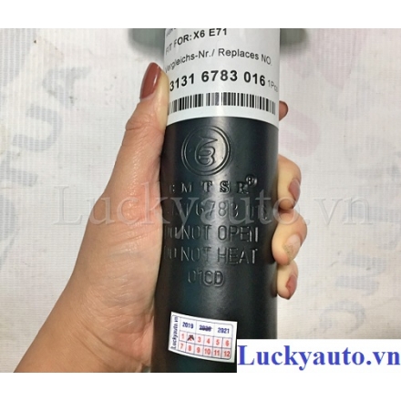 Giảm xóc trước xe BMW X5, X6 đời 2007_ 31316783016